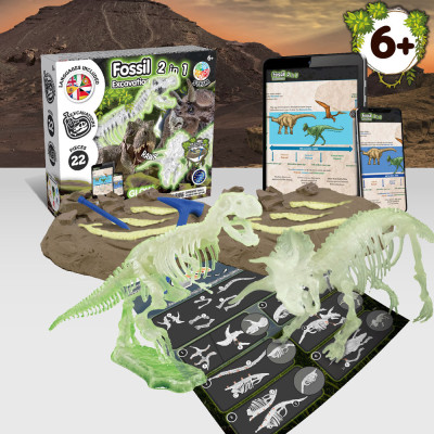2 in 1 Fossil Excavation Kit I. Jogo didático para crianças